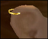 1 Cartilage Ring Gold, R