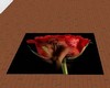 love rose carpet