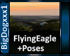 [BD]FlyingEagle