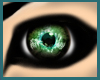 [qIp] magic green eye-f