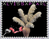 :A: Dinner Party Plant