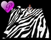 Tapete zebra poses