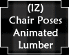 IZ Chair Poses Animated