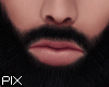 Beard Man C1