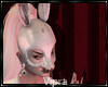 Sinner Bunny Knife AV