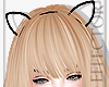 E| Black Cat Ears