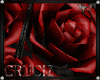 (C) Spiky Roses