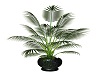 AAP-Glass Potted Plant