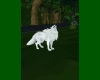 WOLF White Wolf