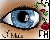 [PBM] Blue Eyes Male