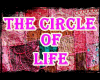 YW-The circle of life re