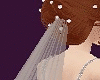 EC| A Wedding Veil