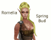 Romelia - Spring Bud