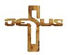 Jesus in a cross