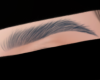 S| #8 brows blue