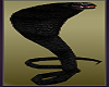 King Cobra Snakes