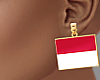MY FLAG:INDONESIA