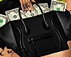 ꕤ Money bag