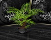 PLANT  I