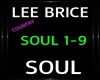 Lee Brice ~ Soul