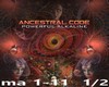 ancestral code  1/2