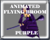 ! Witchs Flying Broom Pr