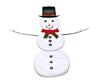 snowman with photo poses
