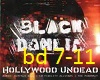 Black Dahlia Box 2