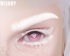 W. Naamah Brows/Lashes