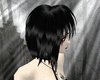 [DS]ONYX RAVEN SCARLET