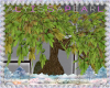 :A: Conservatory Tree