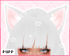 𝓟. Rain Neko Ears