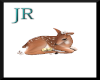 [JR] Baby Deer