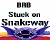 BRB Snakeway Sign DBZ