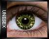 Precious Eyes