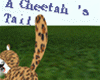 A Cheetah's Tail!!