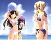 fate/staynigh beachparty