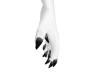 Suppai Paw