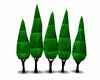 trees cyprus green 5