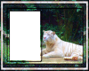 White Tiger Frame