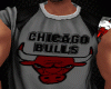 Camiseta Bull