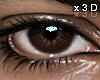 MK Realistic brown M/F