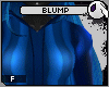~DC) Blump Sweatshirt