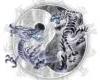 dragon ying-yang