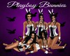 Playboy Bunnies GP