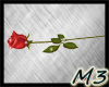 M3 Red Rose-v2