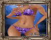 PHV Summer Bikini Purple