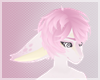 e Sakura Ears 2 e