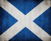 Scottish Flag Wall Pic 