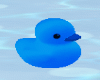 Blue Rubber Ducky Ani